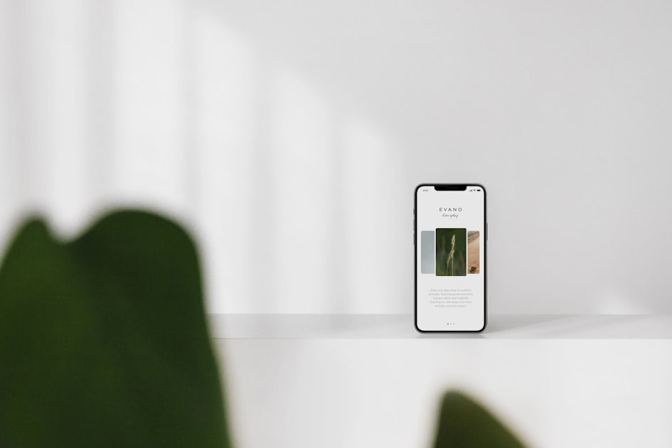 The Importance of User-Focused Software